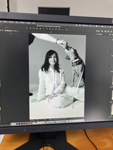 DISCOVER THEANIMALS™ LAUNCH CAMPAIGN