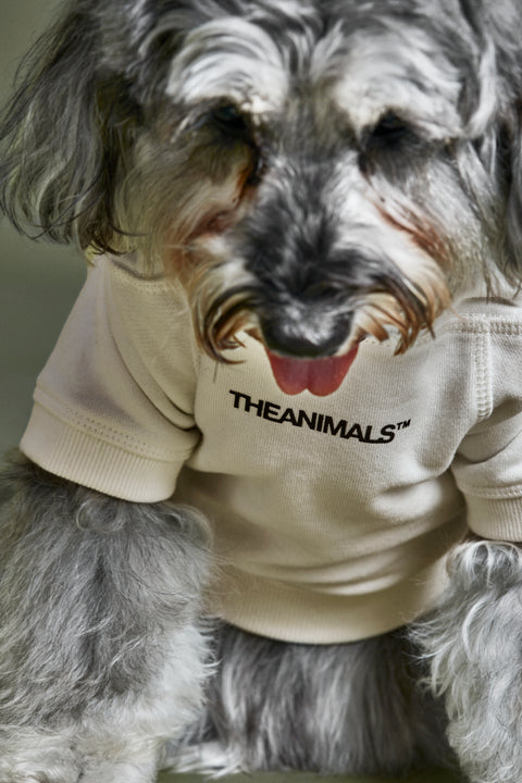 Hooded Dog Logo Sweatshirt