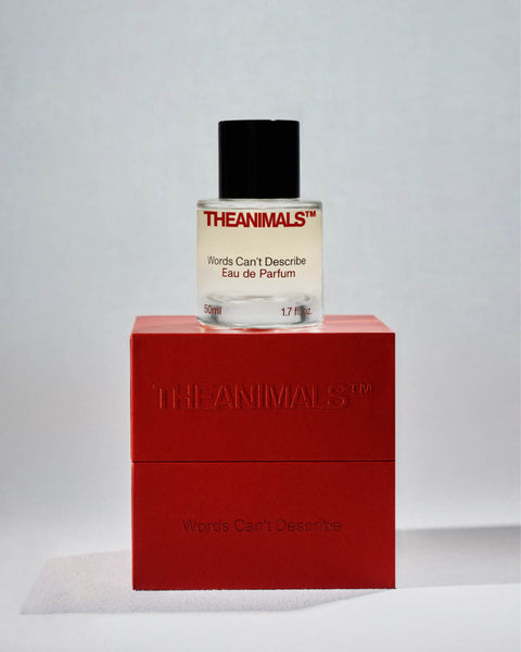 Words Can't Describe - Eau de Parfum 50ML/ 1.7 FL OZ