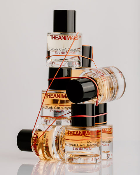 Words Can't Describe - Eau de Parfum 50ML/ 1.7 FL OZ