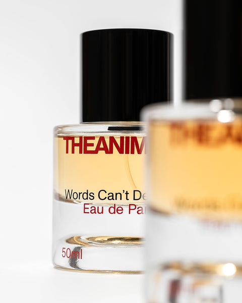Words Can't Describe - Eau de Parfum 50ML/ 1.7 FL OZ