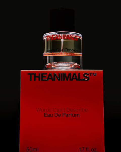 Words Can't Describe - Eau de Parfum 50ML/ 1.7 FL OZ