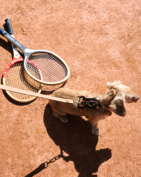 Le Retro Sport 3-Way-Lead