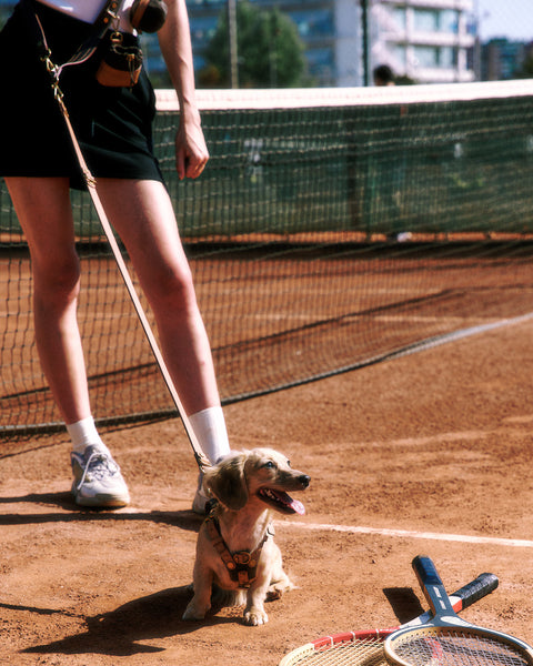 Le Retro Sport 3-Way-Lead