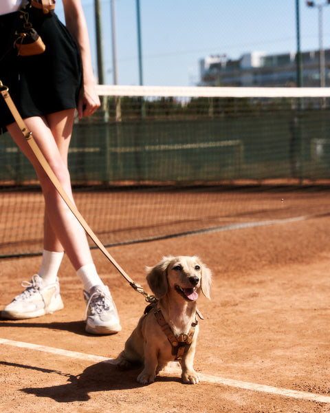 Le Retro Sport 3-Way-Lead