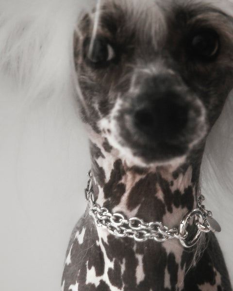 Multi Chain Necklace