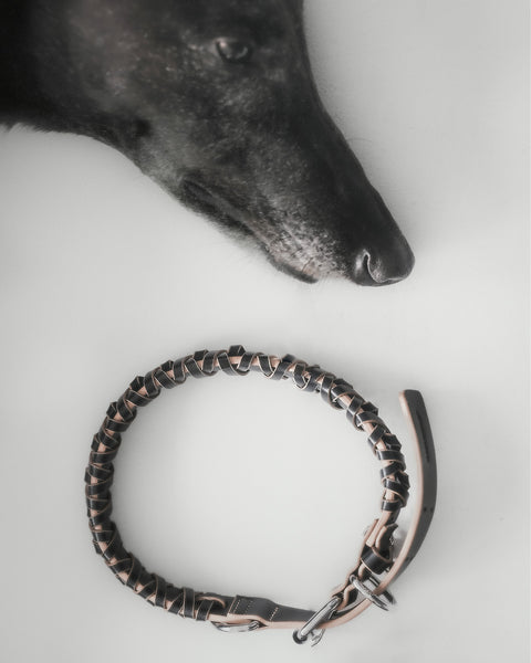 Le Roley Collier Pour Le Chien