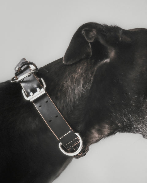 Le Roley Collier Pour Le Chien
