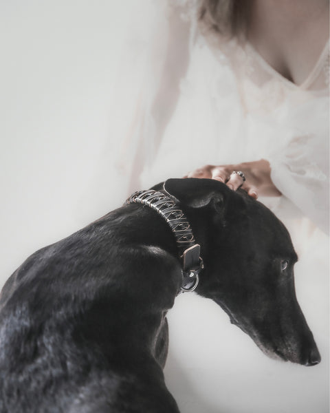 Le Roley Collier Pour Le Chien