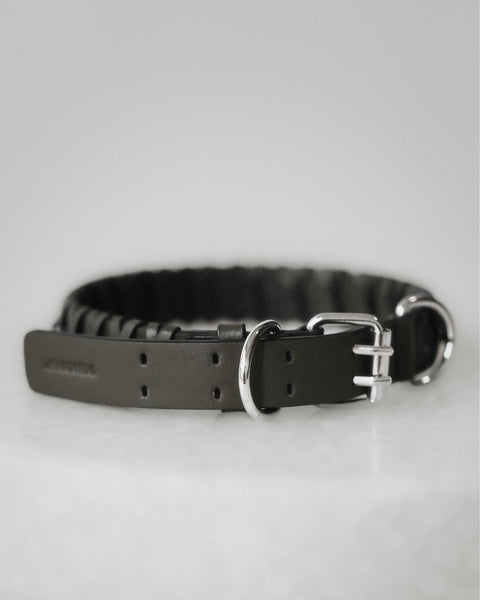 Le Roley Collier Pour Le Chien