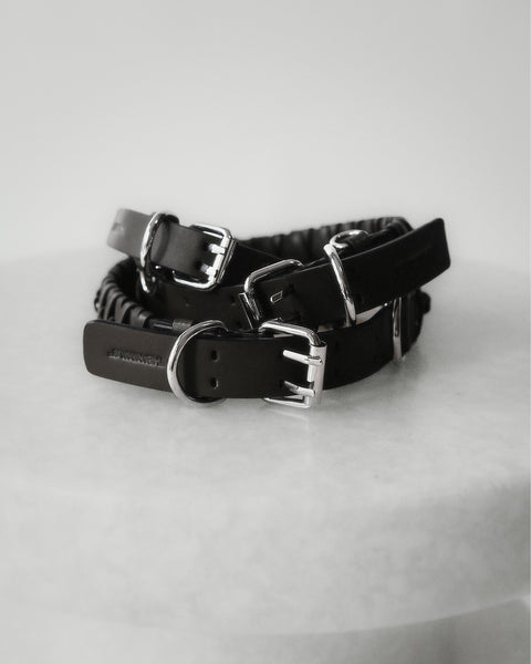 Le Roley Collier Pour Le Chien