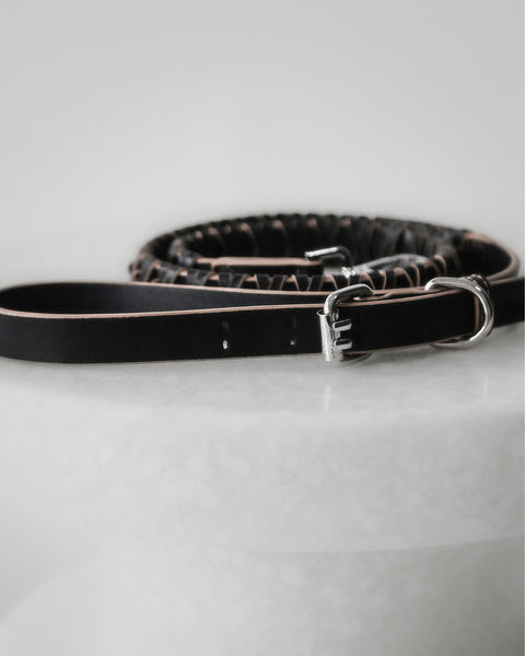 Roley Laisse Pour Le Chien