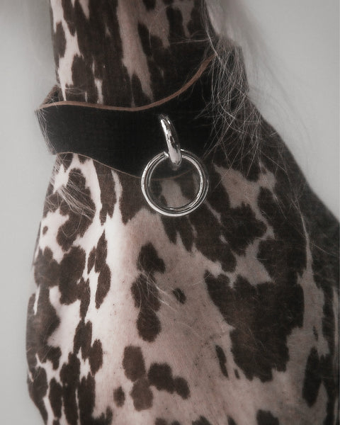 S&M Collar