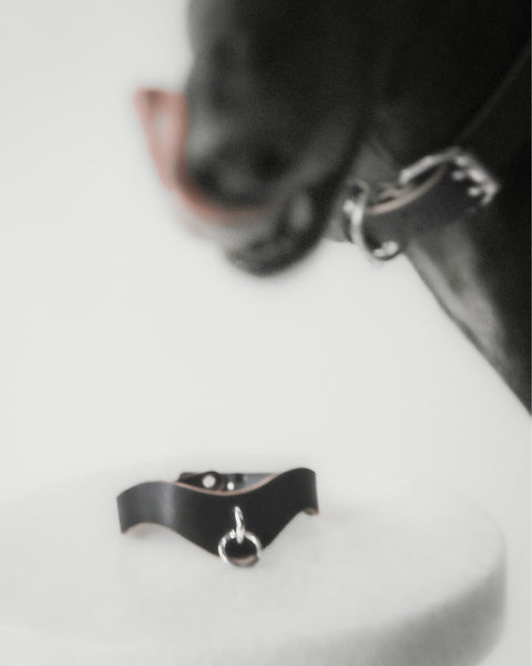 S&M Collar