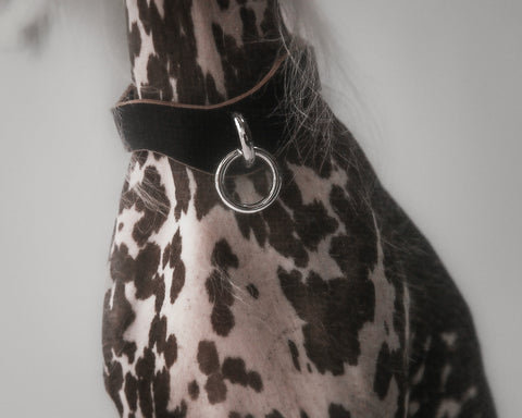 S&M Collar