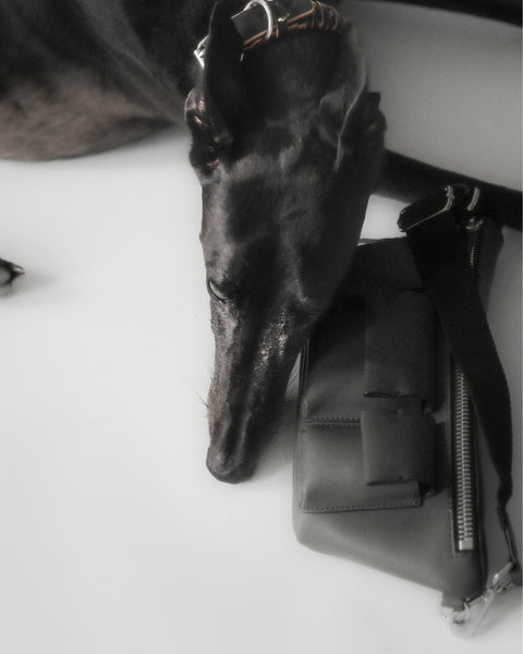 Sac De Marche