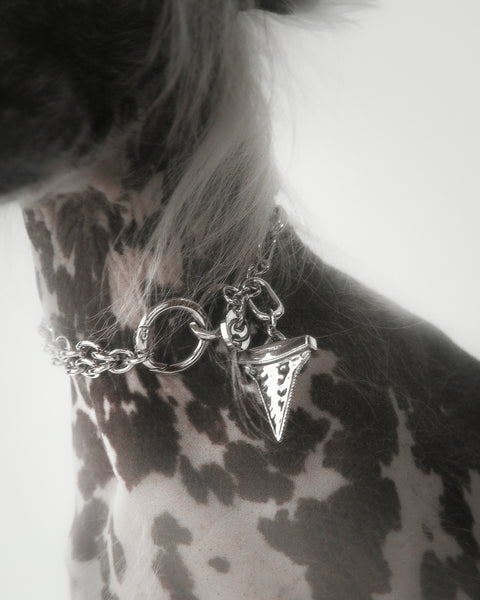 Shark Tooth Charme - Rhodium