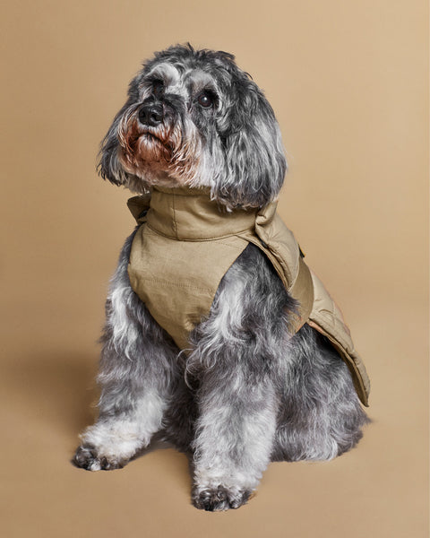 The 2-in-1 Classique Trench
