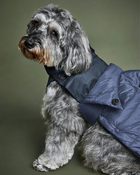 The 2-in-1 Classique Trench
