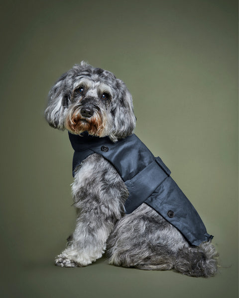 The 2-in-1 Classique Trench