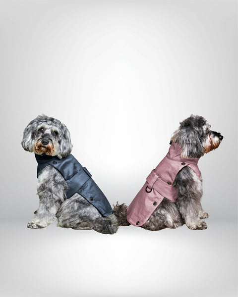 The 2-in-1 Classique Trench