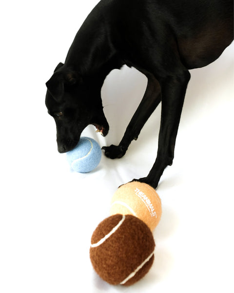Vintage Fetch Pack