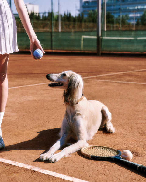 Vintage Fetch Pack