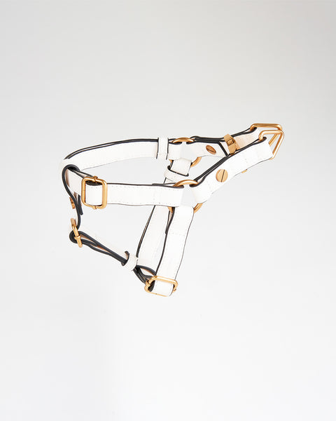 Classique Harnais Pour Chien