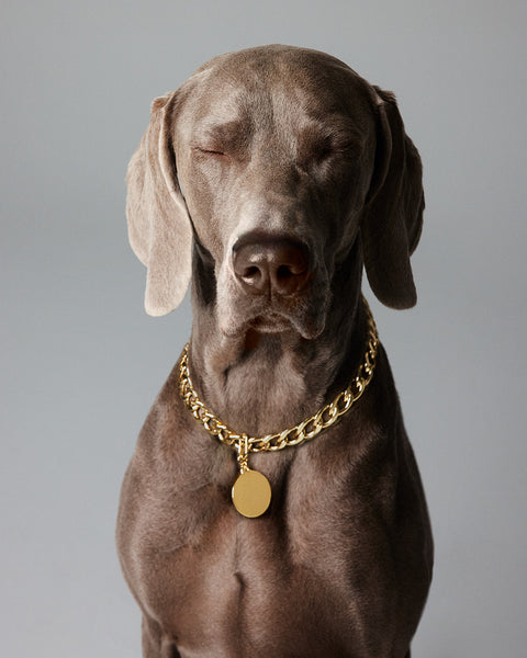 Disque - Gold