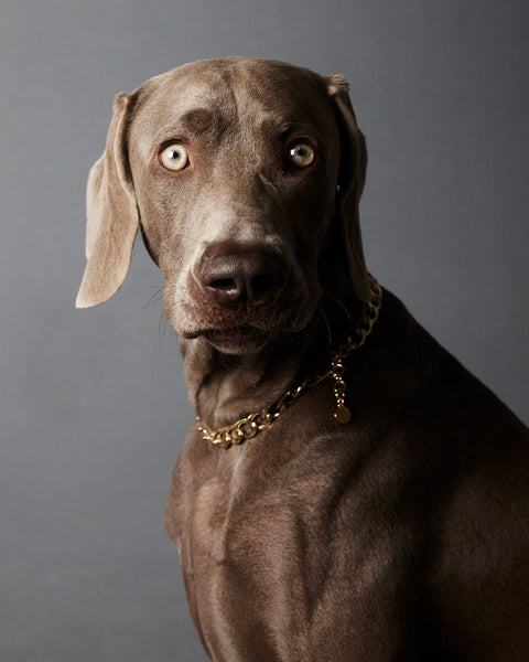 El Diablo Necklace - Gold