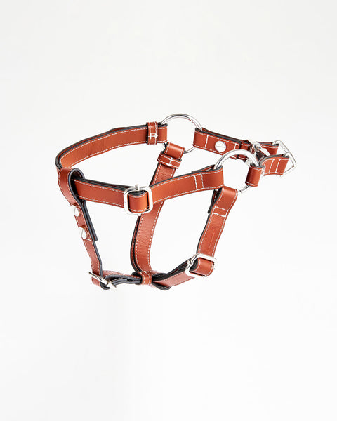 Classique Harnais Pour Chien
