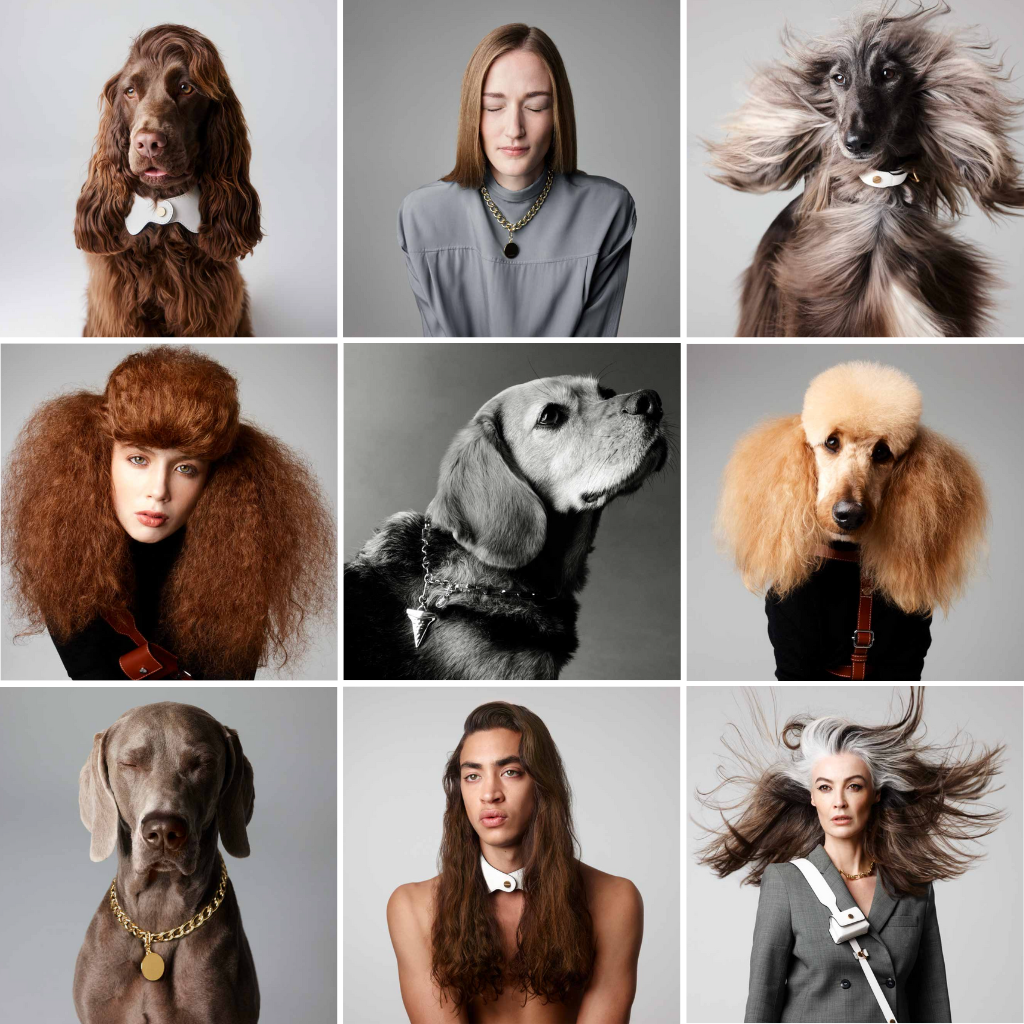 MEET THE STARS FROM THEANIMALS™ RESORT 2023 PHOTO SHOOT