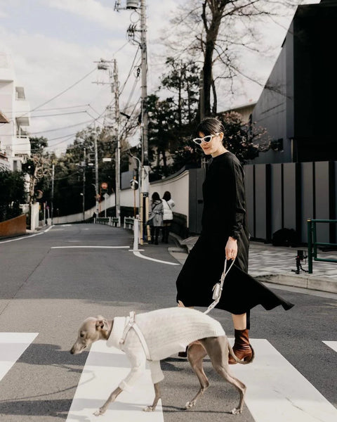 5 TIPS FOR MATCHING DOG AND OWNER OUTFITS IN 2024