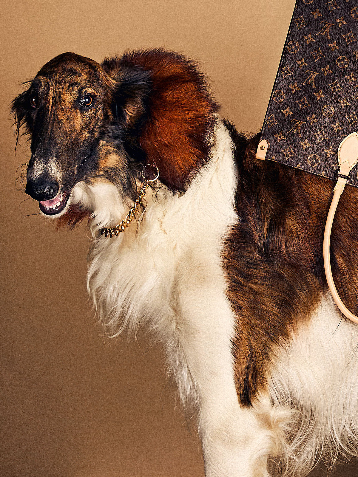 THEANIMALS™ Featured in Belgian Fashion Magazine, FD Persoonlijke
