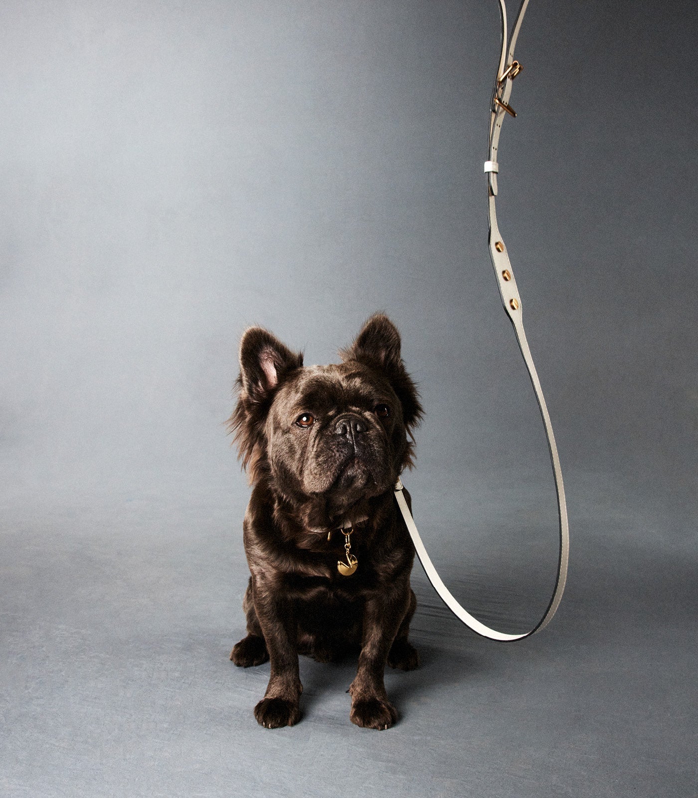 LEATHER | ANIMAL