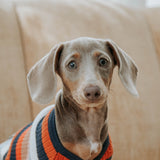 Retro Multi Stripe Grandpa Knit