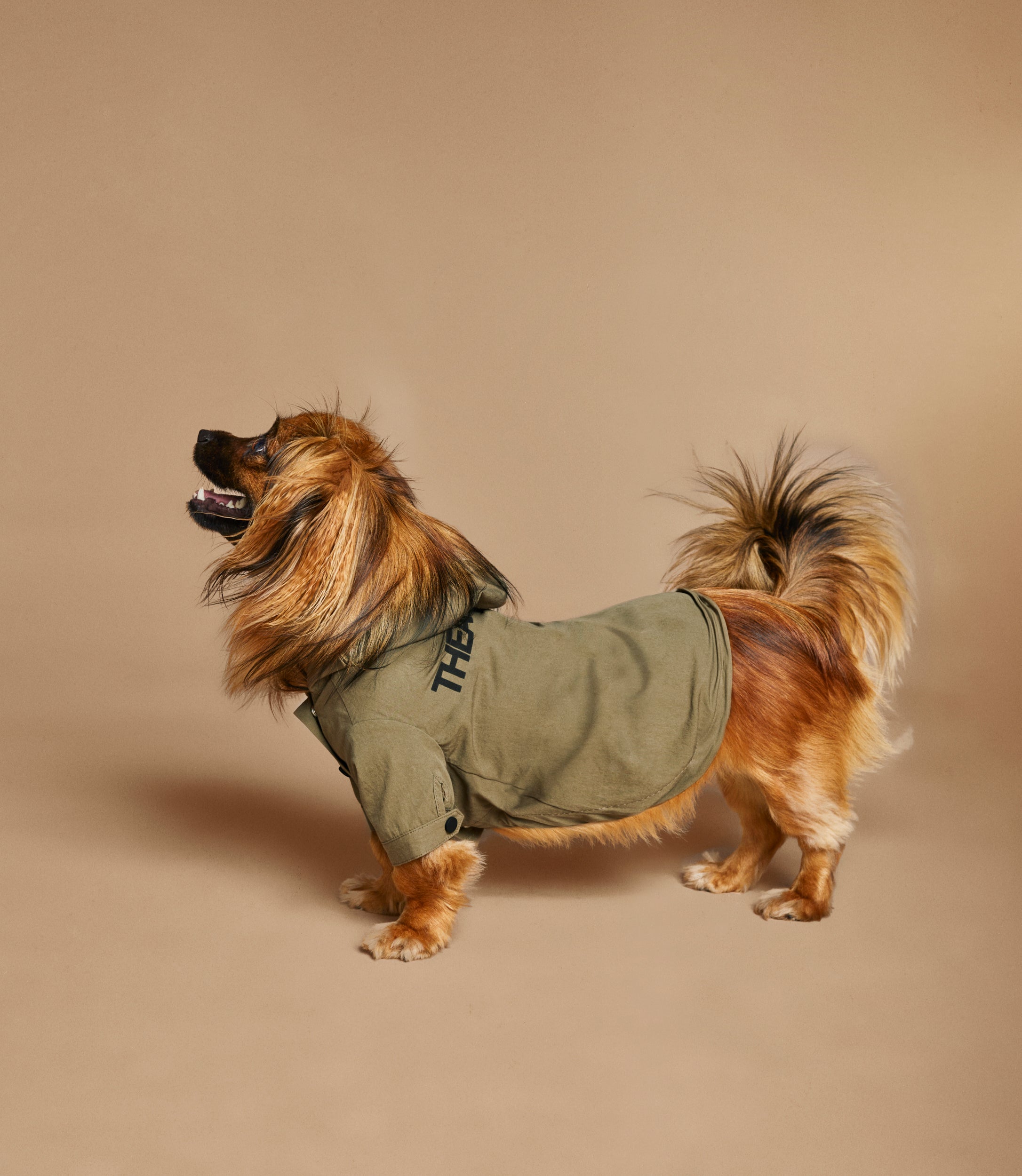 Logo Light Dog Coat