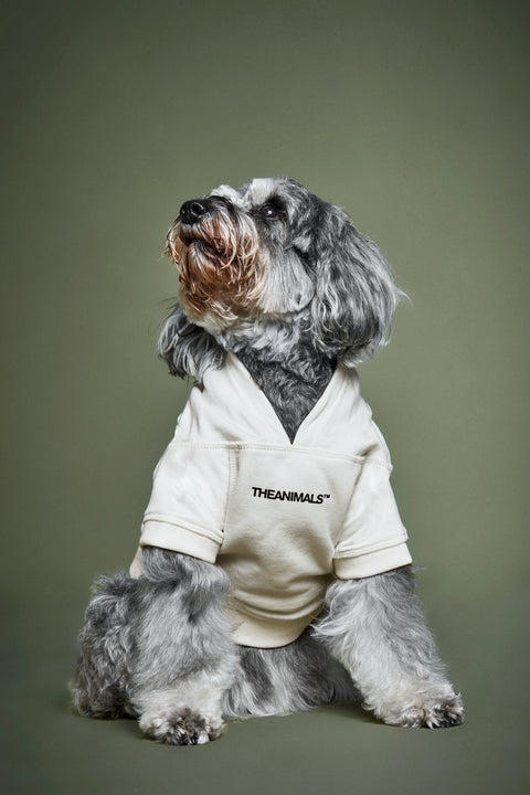 Hooded Dog Logo Sweatshirt