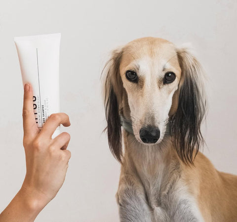 SKINCARE | HYGG