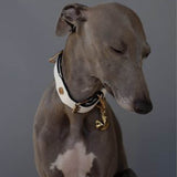 Fortune Cookie Charme - GOLD