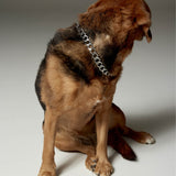 El Diablo Necklace - RHODIUM