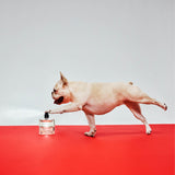 Words Can't Describe - Eau de Parfum 50ML/ 1.7 FL OZ