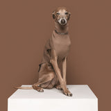 Francie Necklace - RHODIUM