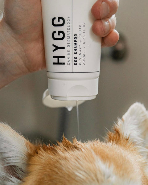 HYGG Shampoo