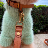 Le Retro Sport Collar