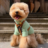 Le Retro Sport Harness