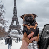 Le Retro Sport Harness