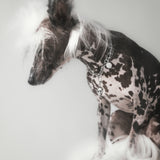 Le Skeleton Charme - RHODIUM