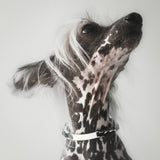 Leather Braid Bold Necklace - RHODIUM