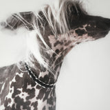 Leather Braid Bold Necklace - RHODIUM